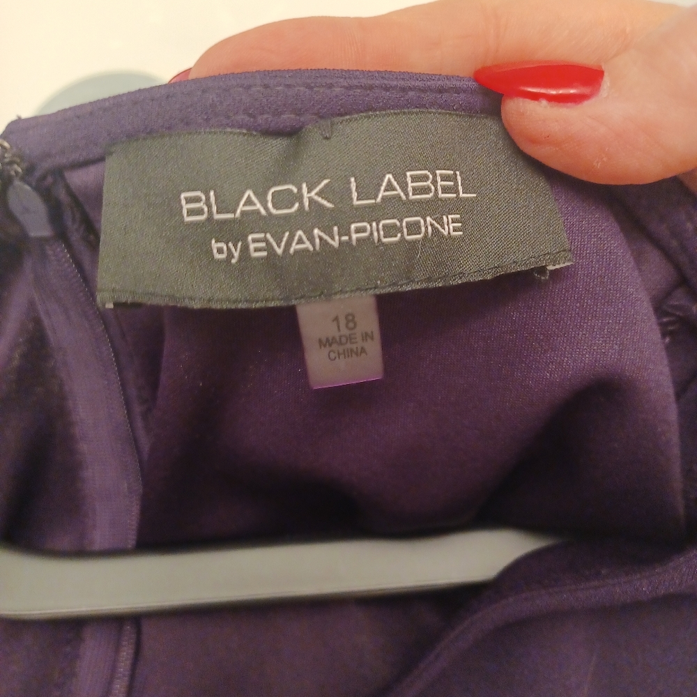BLACK LABEL by EVAN- PICONE Plum Purple Classic Sleeveless Dress Size 16 - Picture 10 of 13